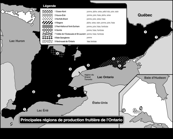 Principales régions de production fruitère de l’Ontario.