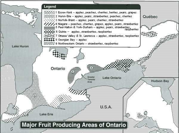 Major Fruit Producing Areas of Ontario