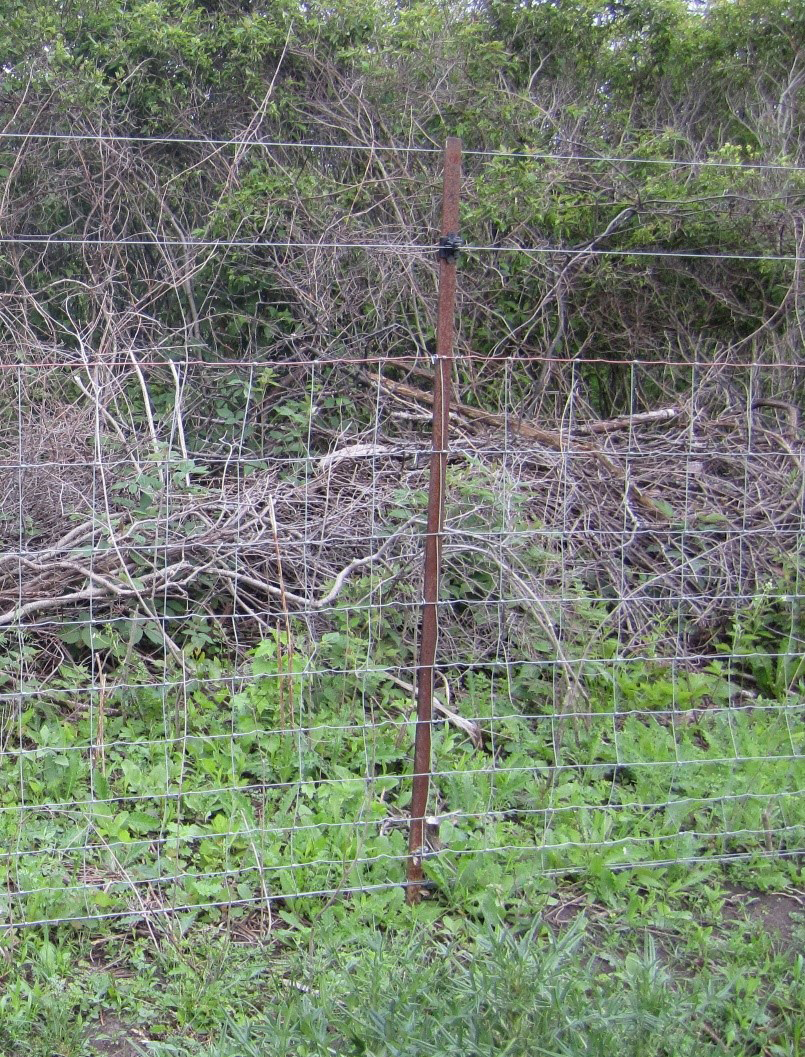 Section of modified net wire fence.