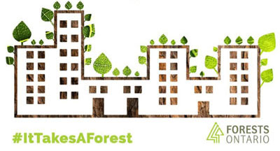 Logo de Forests Ontario
