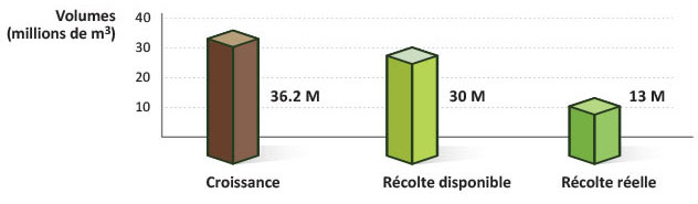 ( en m2) Croissance des forêts de la Couronne de l’Ontario : 36,2 millions. Récolte disponible : 30 millions. Récolte réelle : 13 millions.