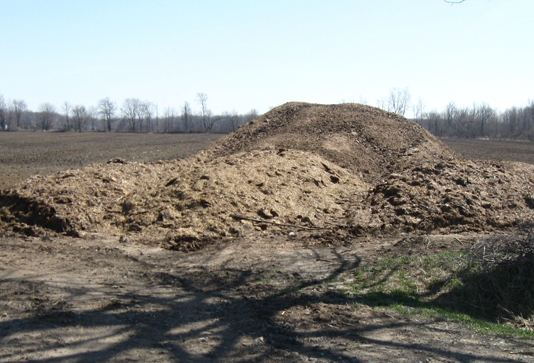 Photo d’un site temporaire d’entreposage du fumier sur place (en avant-plan) dans un champ durant les mois d’été.