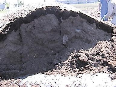 A pile of poultry manure showing rainfall penetration in the top 125 m of the surface shown as a dark layer.