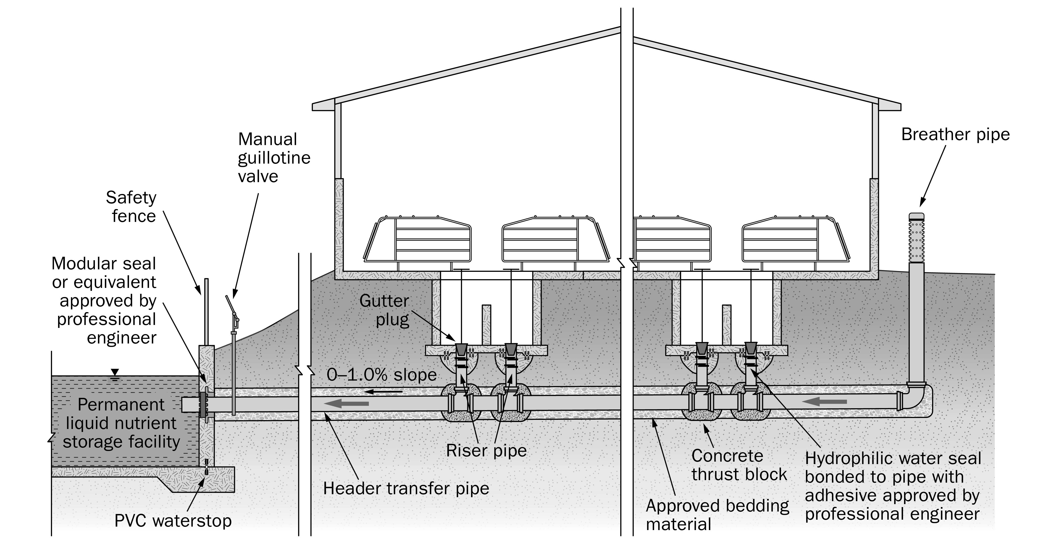 A drawing showing a cross-section of a common swine finishing barn gravity liquid manure system, where vertical riser pipes deliver manure from floor sumps to a horizontal transfer pipe below connected to a permanent liquid nutrient storage.