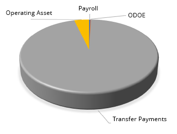 A graphic in form of a pie chart, data representing Operating Summary by Standard Account in four categories; Operating Asset, Payroll, Other Direct Operating Expense and Transfer Payments.