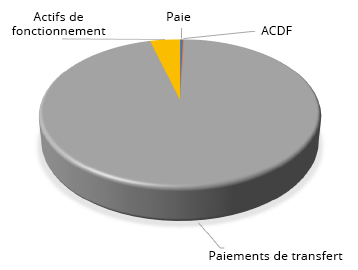 Un diagramme circulaire indiquant le Fonctionnement par catégorie de dépenses en quatre catégories; les Actifs de fonctionnement, la Paie, les Autres charges d'exploitation directes, et les Paiements de transfert.