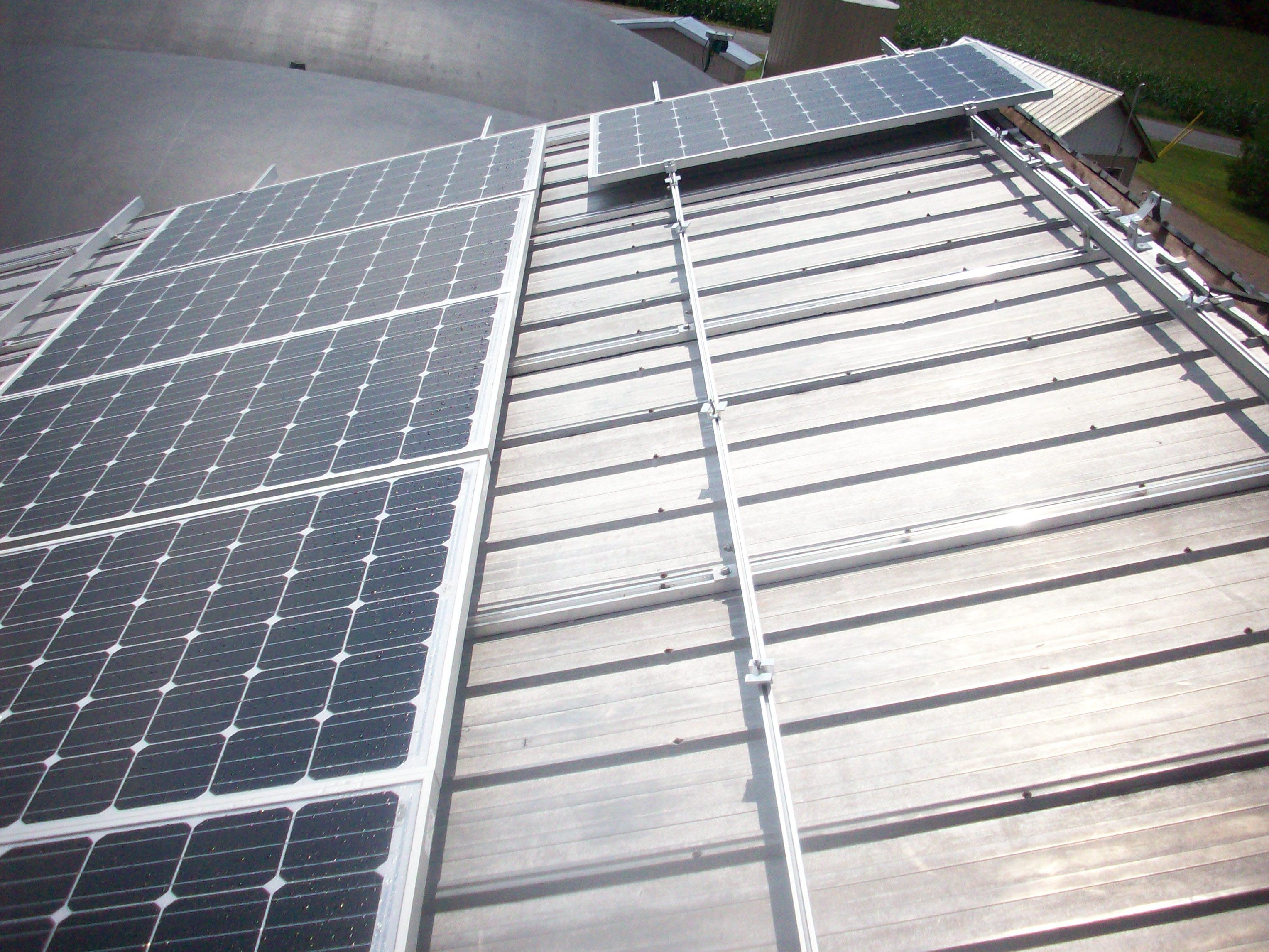 solar panel installation with rows for maintenance access and ventilation. Panels are crystalline silicon modules