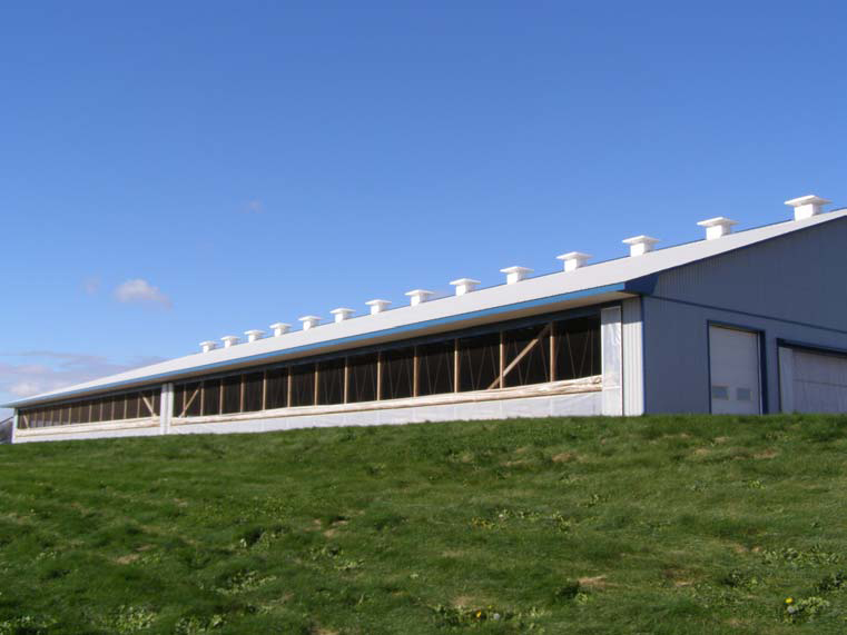 Front view of a single-storey, dairy barn with mono-sloped roof trusses and interior steel support beams