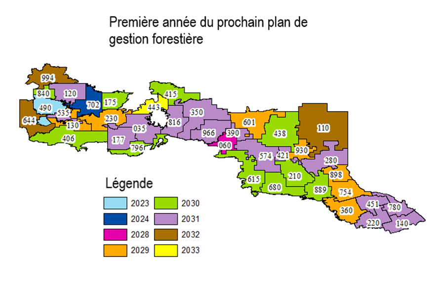 Une carte multicolore de la première année du prochain plan de gestion forestière, y compris des plans provisoire. Les zones 2023 en bleu clair, 2024 en violette, 2028 en sarcelle, 2029 en orange, 2030 en vert, 2031 en rose et 2032 sont indiquées en beige.