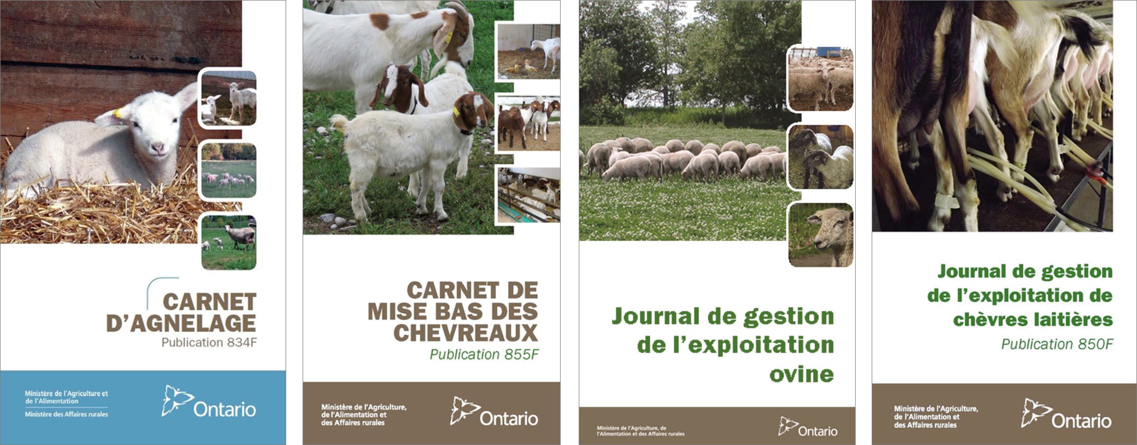 Couvertures de publications : Carnet d’agnelage, Carnet de mise bas des chevreaux, Journal de gestion de l’exploitation ovine et Journal de gestion de l’exploitation de chèvres laitières.