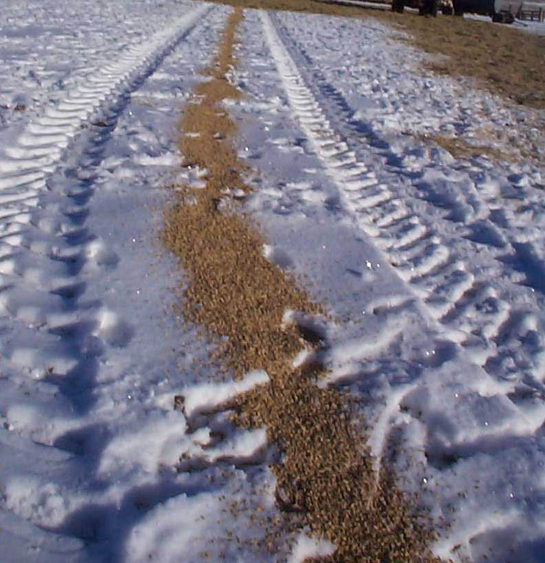 Grain déversé le long d’une ligne continue sur de la neige.