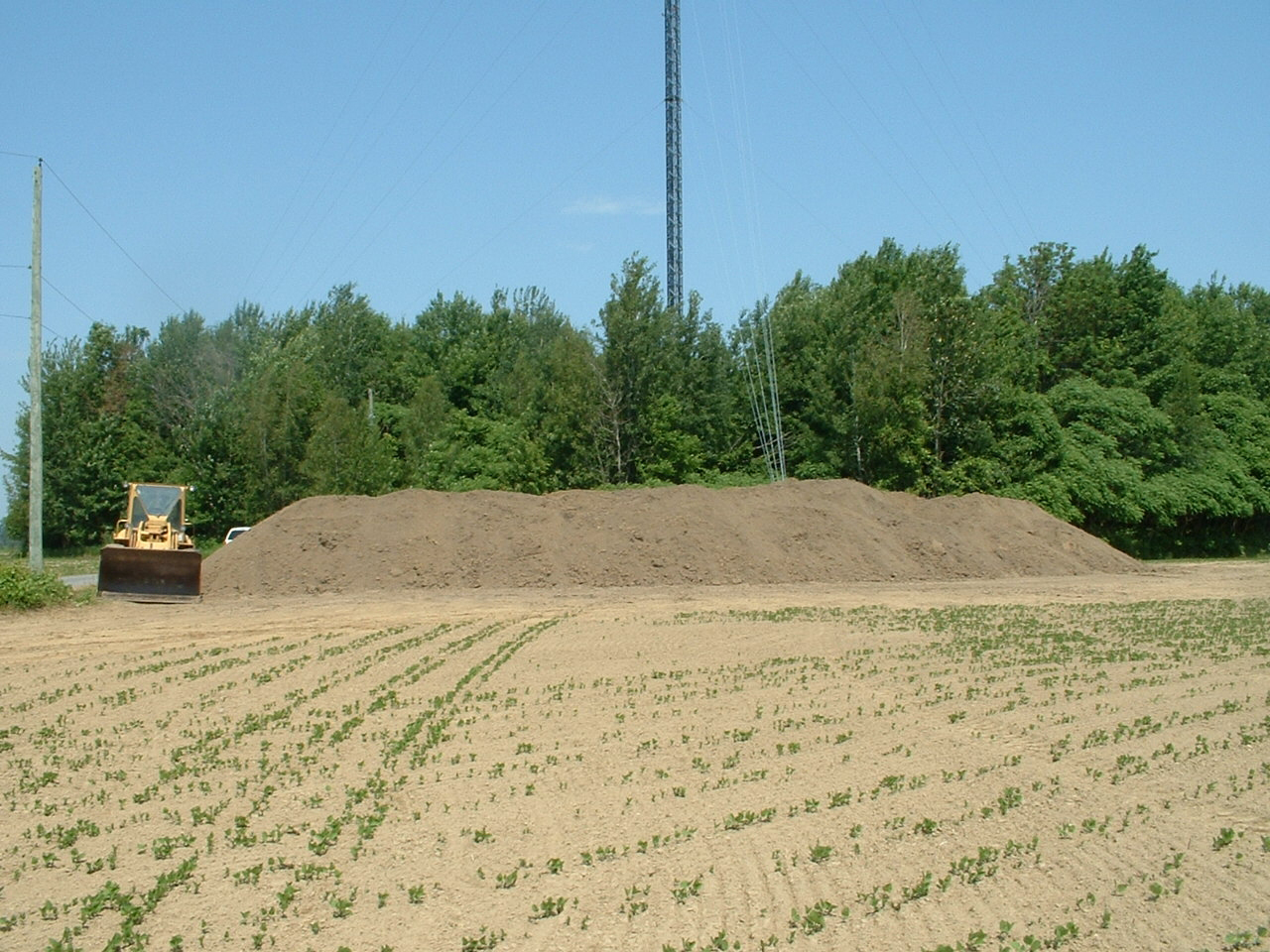 Pulp and paper biosolids piled in a long row, in a tilled field for temporary storage
