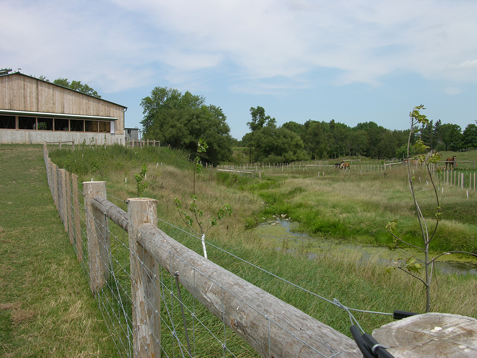 Montrant un ruisseau coulant à droite d’un bâtiment agricole, avec des chevaux dans un pré clôturé à droite. Le ruisseau est clôturé pour éviter que les animaux n’atteignent l’eau et contaminent l’eau souterraine.