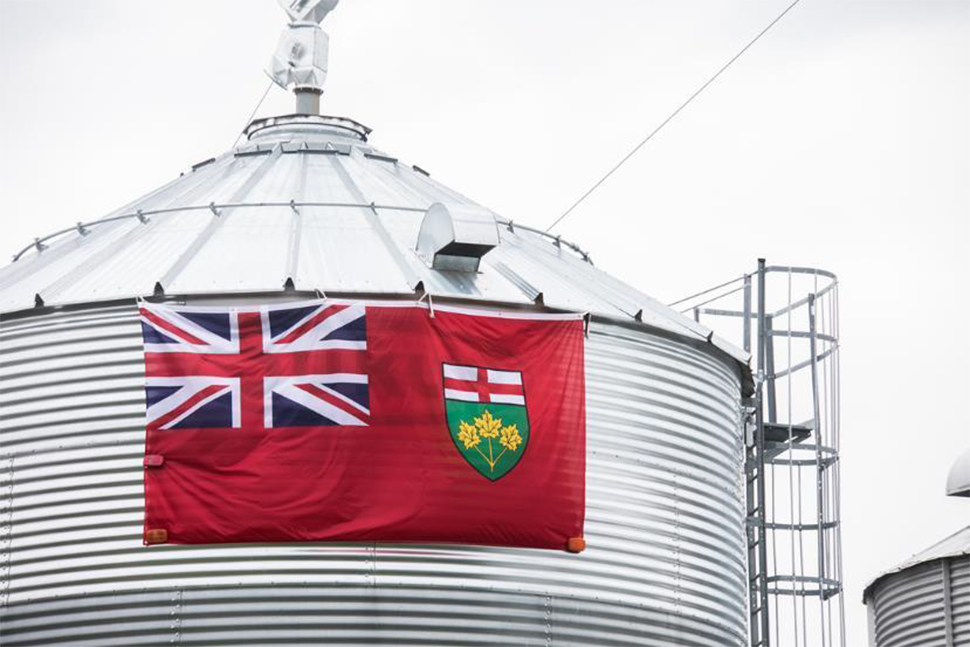 Image of the Ontario flag on a structure.