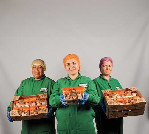 Three staff from Monaghan Mushrooms are holding packages of the Belle Grove brand mushrooms that are grown here in Ontario. This photo was taken at their facility in Campbellville, Ontario. This photo was provided by Monaghan Mushrooms.