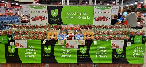 An in-store retail display that is part of the Foodland Ontario Retailer Awards program from Starsky’s in Hamilton. There is a large banner in the middle of the display showing berries on either side and text in the middle saying “Good things grow in Ontario”. There are fresh strawberries and angel food cake and Dream Whip boxes on display. This photo was provided by Foodland Ontario from the Retailer Awards program.