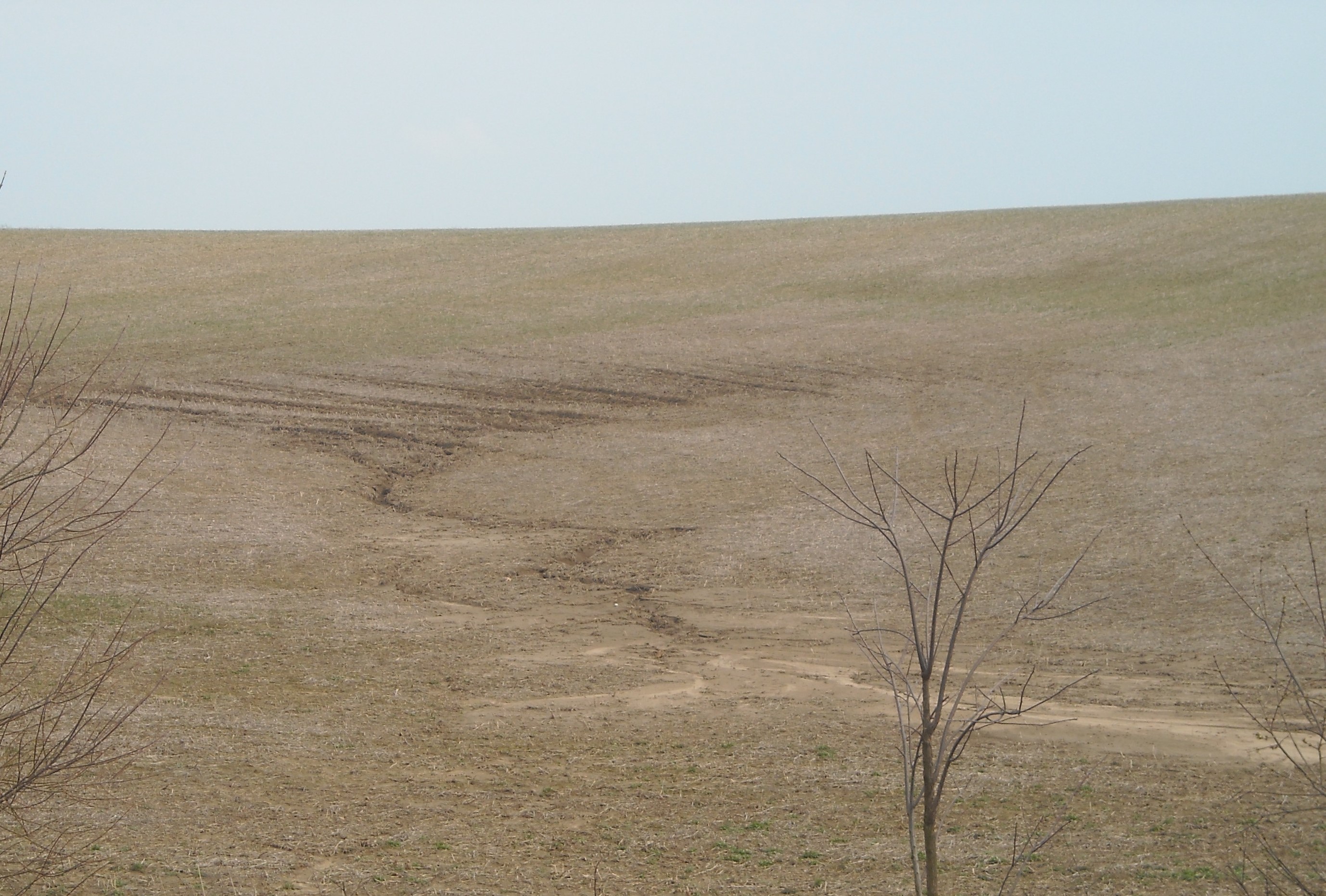 A harvested field with an obvious path where the surface water runoff has been flowing