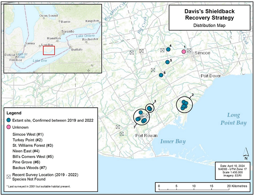 Map showing Canadian Range of Davis's Shieldback. The description of the range is in the Distribution, abundance and populations trends section of the report.