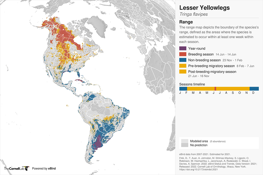 Lesser Yellowlesser global range map