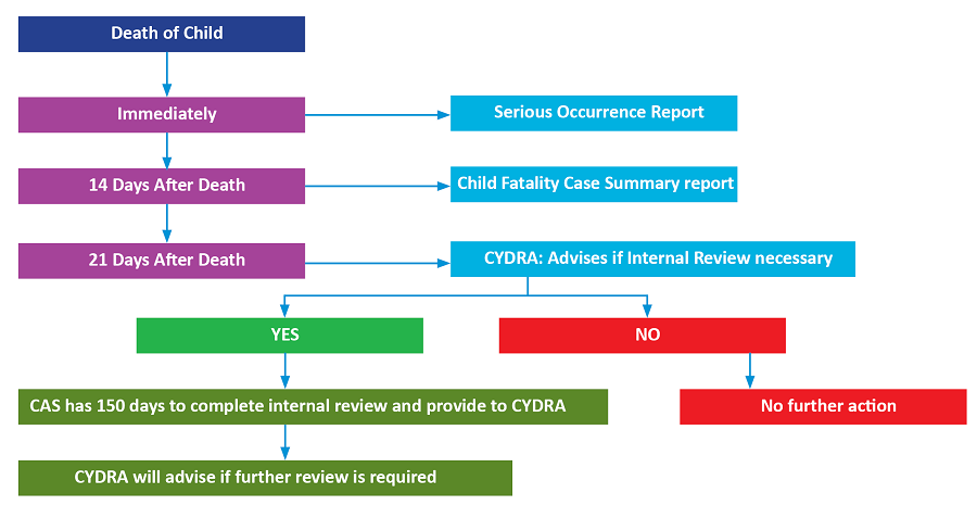 Joint Directive Flow Chart: description is below