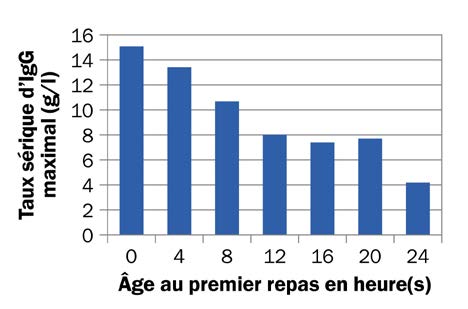 Graphique à barres montrant la diminution des immunoglobulines assimilées au cours des 24 premières heures de vie d’un veau.