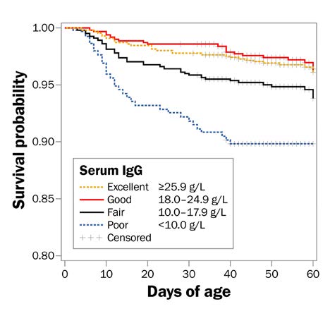 A graph showing the probability of calf survival by serum IgG concentration for pre-weaned dairy heifer calves.