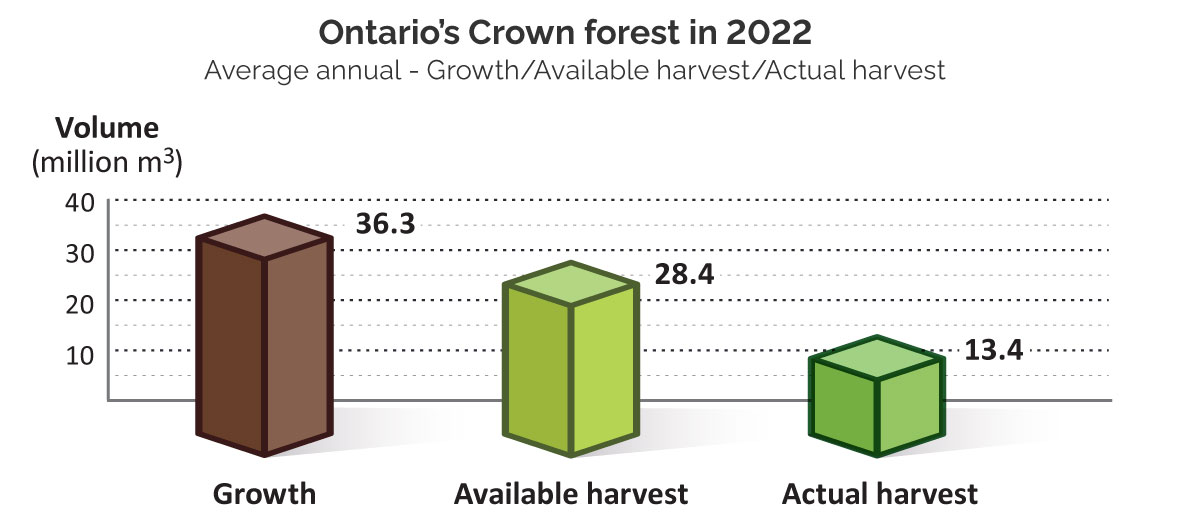 3D bar chart comparing Crown forest metrics: forest growth at 36.3 million cubic metres, available harvest at 28.4 million cubic metres, and actual harvest at 13.4 million cubic metres.