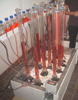 Technique d'échantillonnage révélant la production de biogaz.
