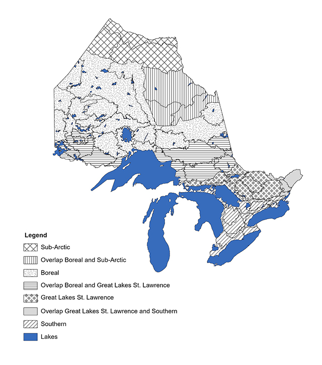 A map of Ontario showing the geographic ranges of Ontario that are used to determine the appropriate manual to use when completing ecological land classification in Ontario.