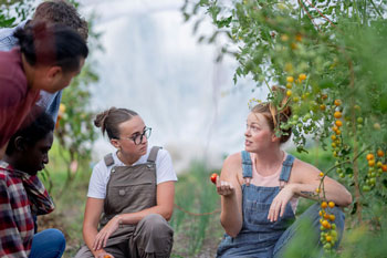 Deux élèves parlent avec des superviseurs dans une ferme de petites tomates de serre. Une des élèves soutient une petite tomate rouge dans sa main droite.