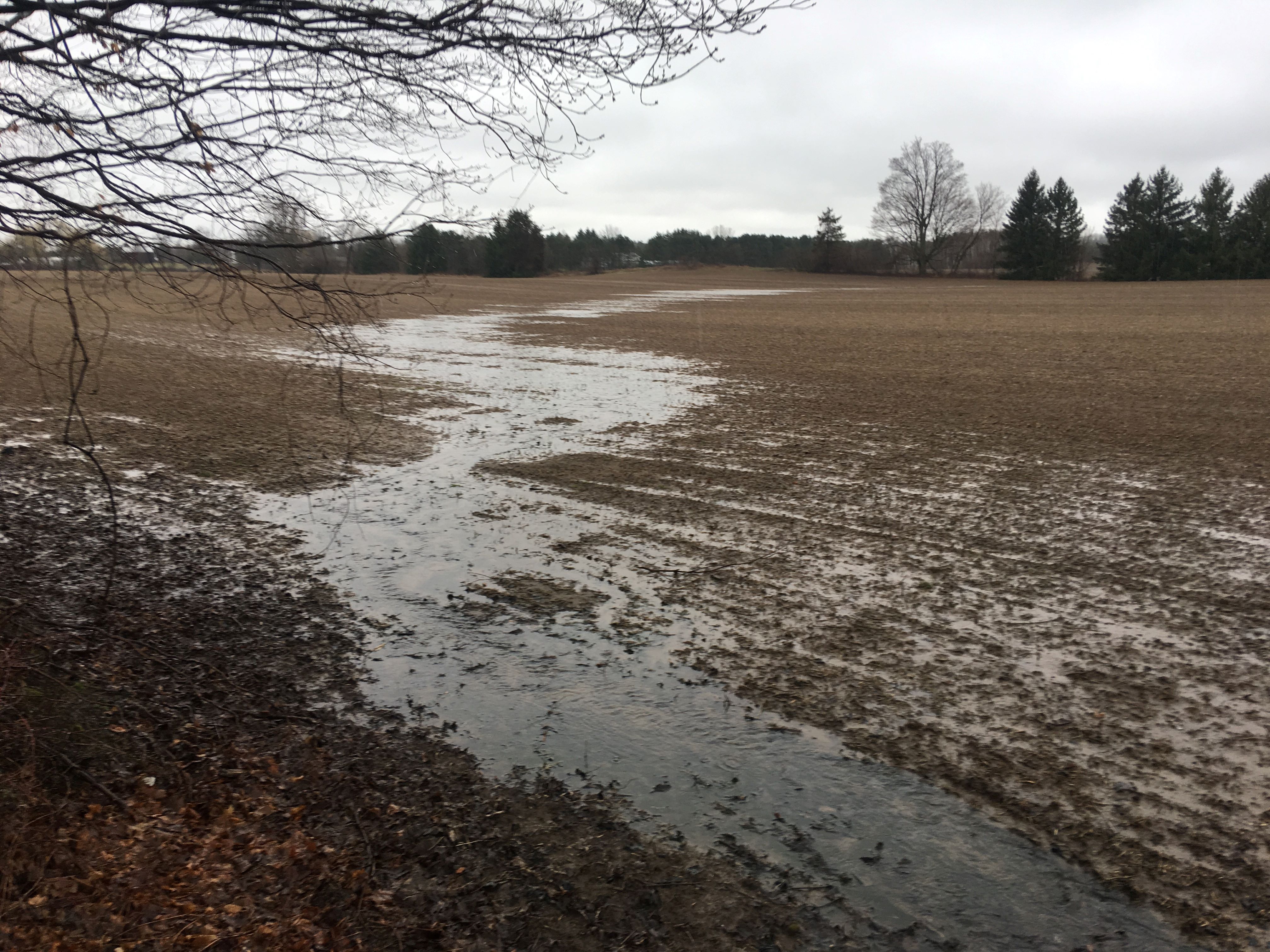 A photo of an agricultural field with no crops present.  A meandering path of surface water is flowing from the back of the field (upper middle of the photo) to the bottom of the field (bottom of the photo).