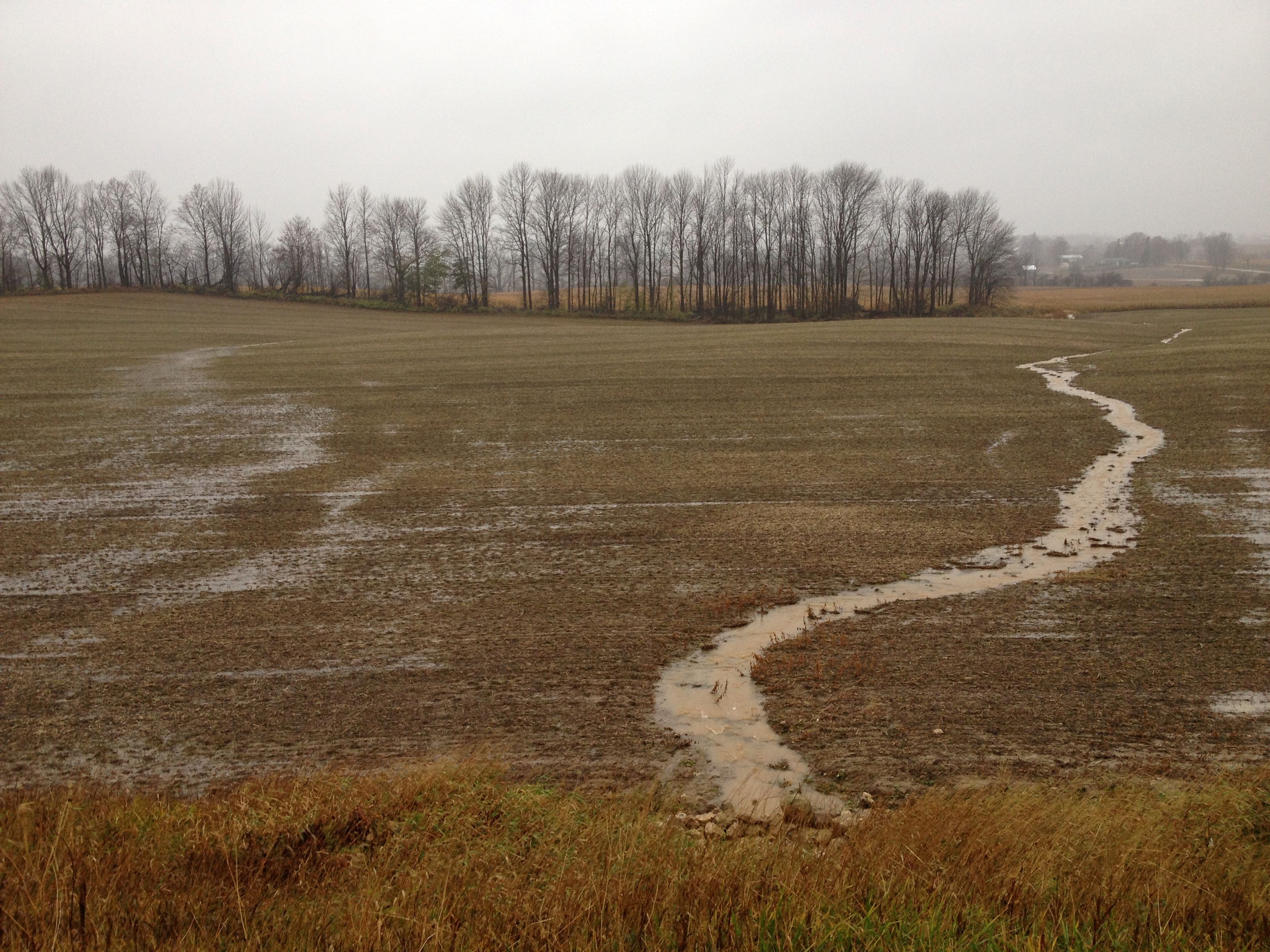 A photo of an agricultural field with water flowing in a channel form on the right hand side of the photo.  It is uncertain if the water flow is a watercourse or surface water even though it is collected in a channel.