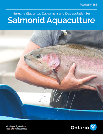 A fish farmer holding an anesthetized rainbow trout.