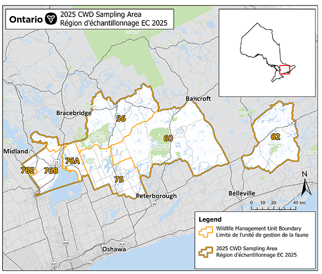 Map of 2025 Central Ontario chronic wasting disease sampling area.