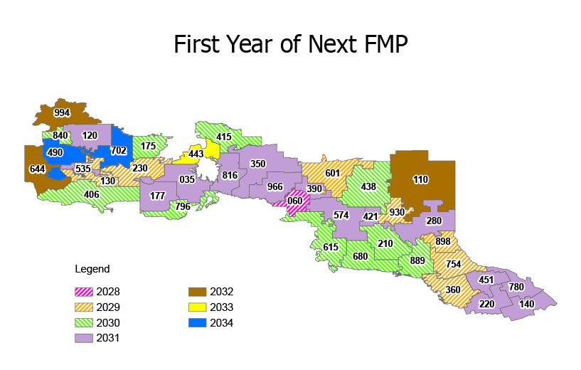 A multicoloured map of the first year of the next Forest Management Plan. 2028 areas are pink, 2029 areas are orange, 2030 areas are green, 2031 areas are purple, 2032 areas are tan, 2033 areas are yellow, and 2034 areas are blue.