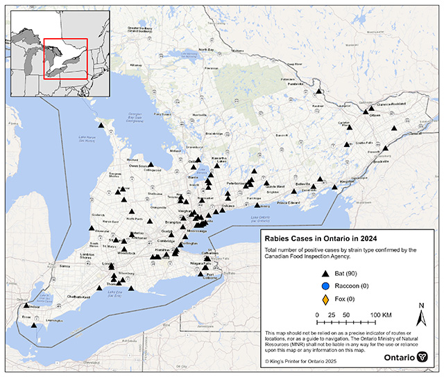 Rabies cases in Ontario in 2024
