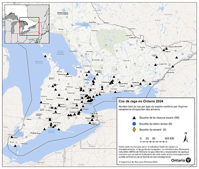 Cas de rage en Ontario 2024