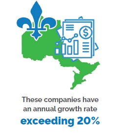 Graphic of a green map of Ontario topped by a blue fleur de lis, beside a stylized financial report showing bar charts, an upward arrow, and a currency symbol; below, the text ‘These companies have an annual growth rate exceeding 20%.