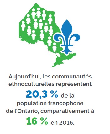 Carte de l’Ontario verte remplie d’icônes stylisées de personnes et surmontée d’une fleur de lis bleue, accompagnée du texte : “Aujourd’hui, les communautés ethnoculturelles représentent 20,3 % de la population francophone de l’Ontario, comparativement à 16 % en 2016”.