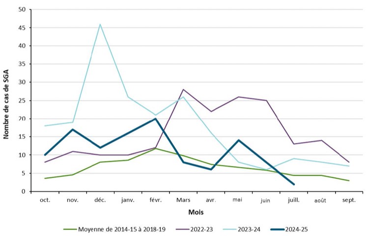 Nombre de cas d’iGAS confirmés par mois chez les enfants de 0 à 17 ans 2014-2024