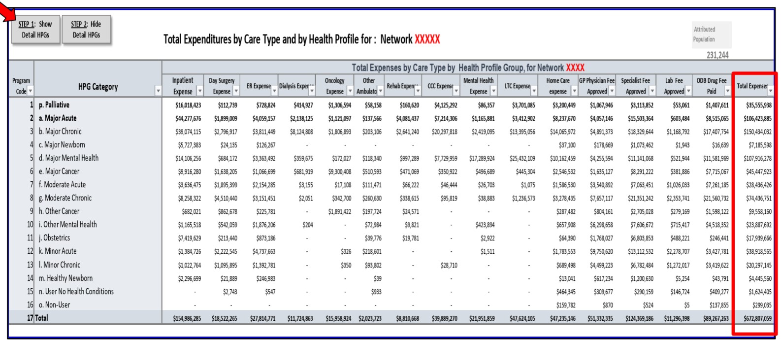 Costs by care type and HPG: This workbook focuses on the health care expenses of the network. 