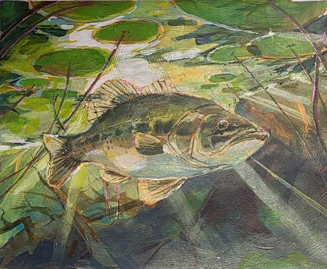 Largemouth bass under lily pads