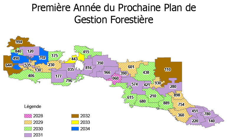 Une carte multicolore de la première année du prochain plan de gestion forestière. Les zones 2028 en rose, 2029 en orange, 2030 en vert, 2031 en violet, 2032 en brun et 2033 sont indiquées en bleu.