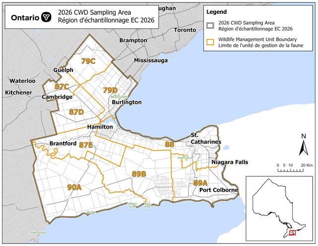 Carte de l’aire d’échantillonnage de l’encéphalopathie des cervidés dans le Sud de l’Ontario en 2026.