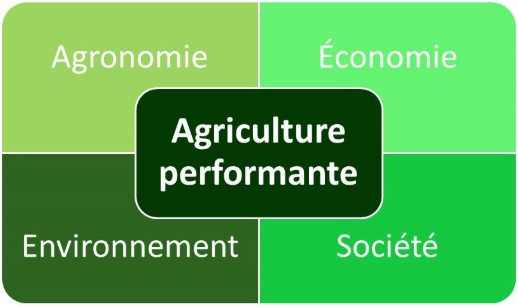 Représentation de la dynamique sous-jacente à une agriculture performante.