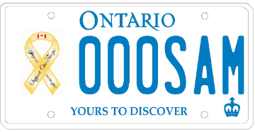 Illustration of Licence Plate — Support our troops