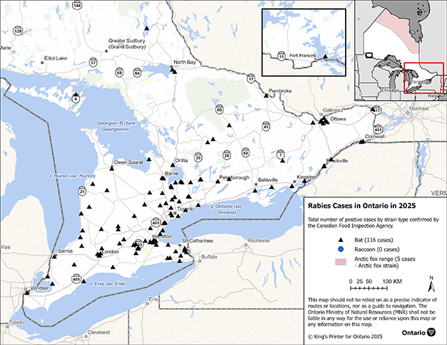 Map of 2025 reported rabies cases