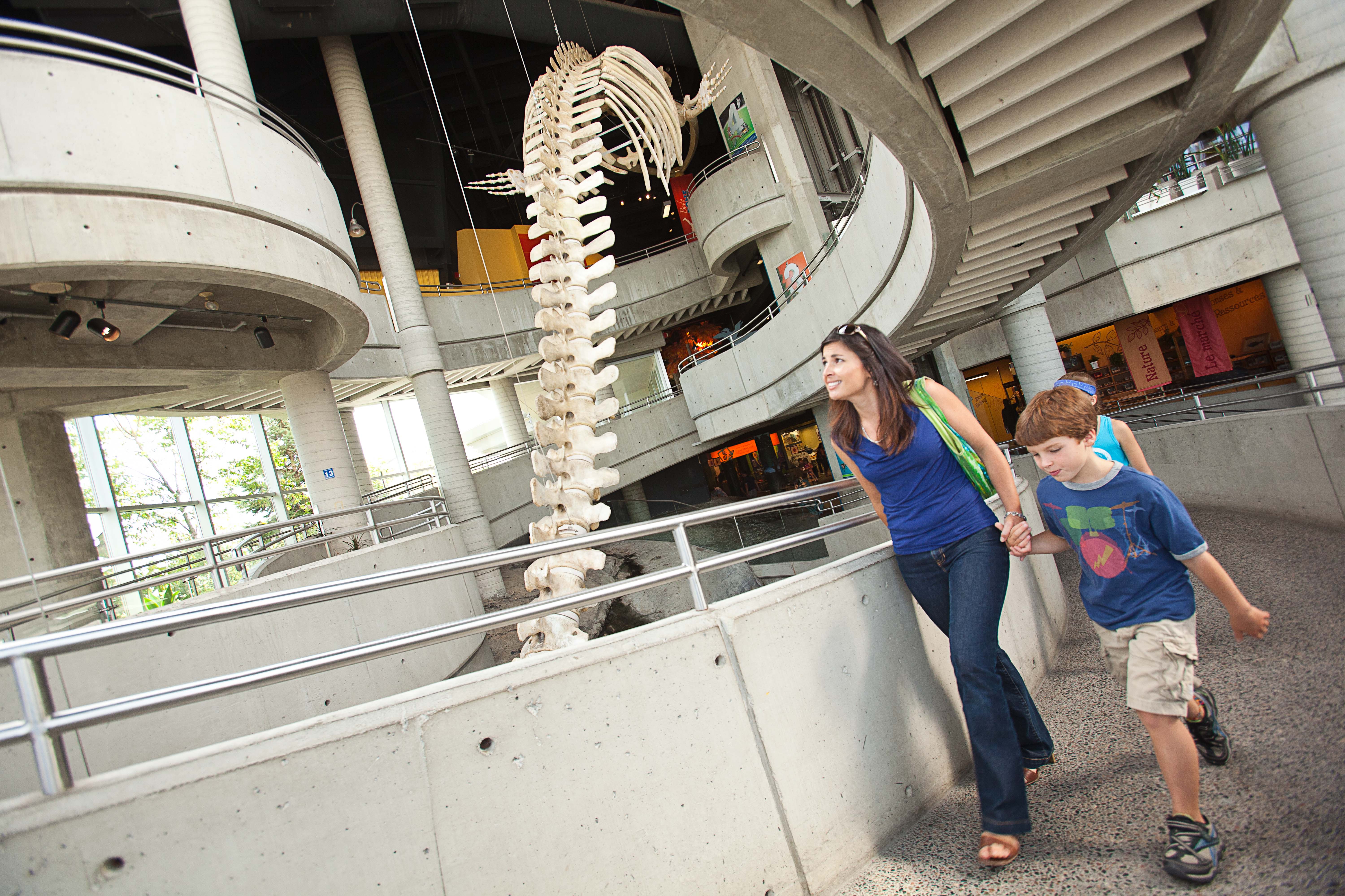 Visitors walking through a museum exhibit featuring a large, suspended skeleton.