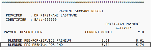 Screenshot of a sample payment summary report