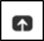 Remote access defence share screen icon